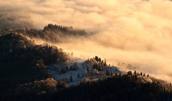 Абхазия туман