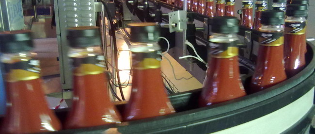 производство кетчупов