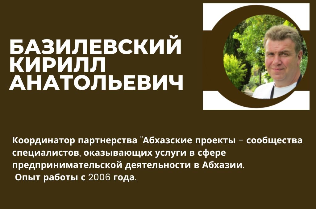 Базилевский Кирилл Анатольевич координатор партнерства абхазские проекты